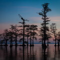 IMG 7163-Edit
